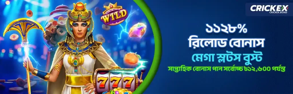 Login CRICKEX